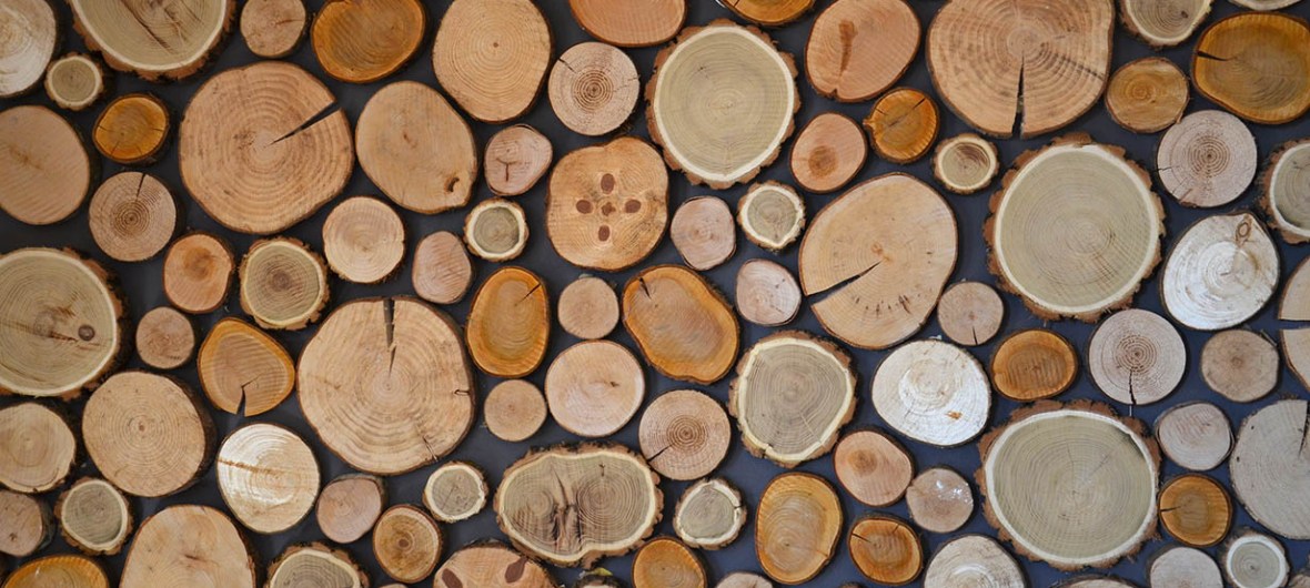 Fustes penjades a la paret